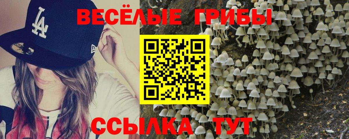 Псилоцибиновые грибы мухоморы  Вход с VPN  Грязи 