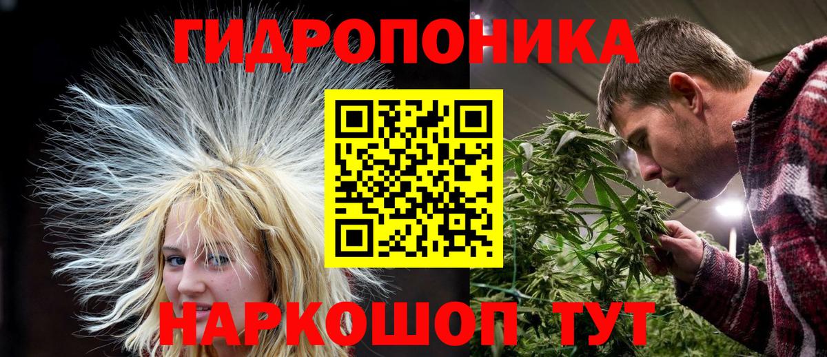 Марихуана Bruce Banner  Вход с VPN  Грязи  Канабис Bruce Banner  МАРИХУАНА конопля 